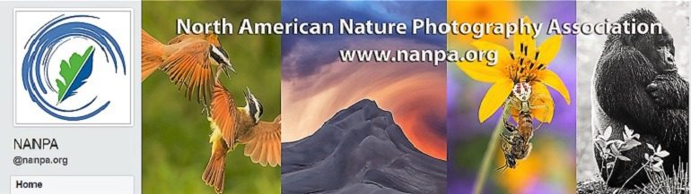 Image: A photo collage on the Facebook page of North American Nature Photography Association Group