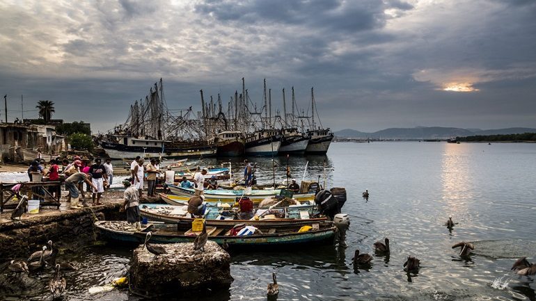 Photographer Matt Mawson Documents Life at the Mexico Fish Market