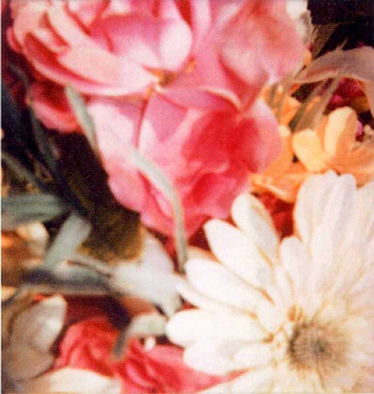 Image: Photograph of Flowers at St Barth by Cy Twombly