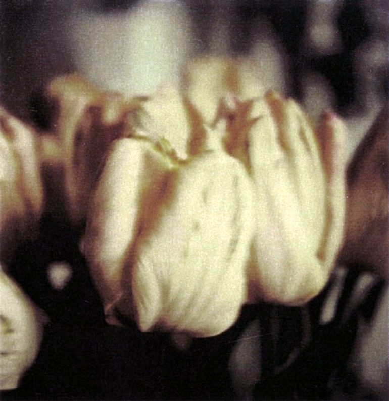 Image: Photograph of Tulips by Cy Twombly on display in Spain for the very first time