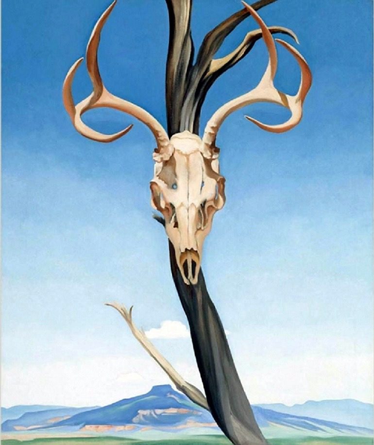 Modern Art -Georgia O’Keeffe's Deer’s Skull with Pedernal, 1936, is one of the paintings examining modern art history at the Museum of Fine Arts, Boston