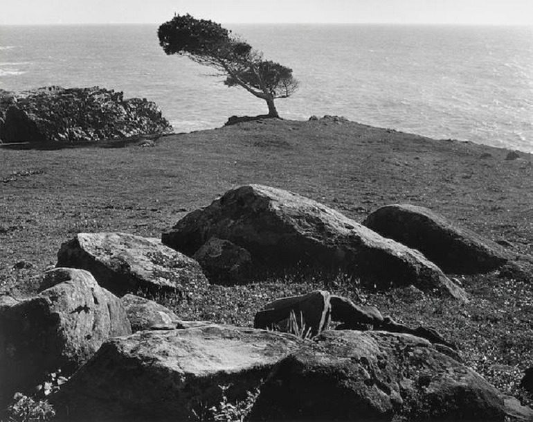 Image: At Timber Cove- North Coast- California, a landscape photograph by Ansel Adams sold during Bonhams photography Auction