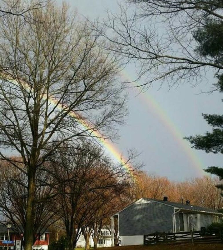 Image: Rainbows in the Sky by La Keysha Edwards, the photography enthusiast that won the 2nd prize in the Artcentron Flowers We Love Photo Contest