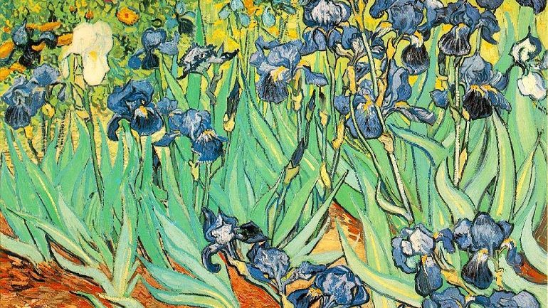 New Vincent van Gogh Investigation Probes His Heart and Art