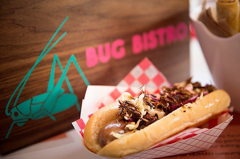 Image: Hotdog with crickets is one of the very popular bug delicacies at the Canadian National Exhibition