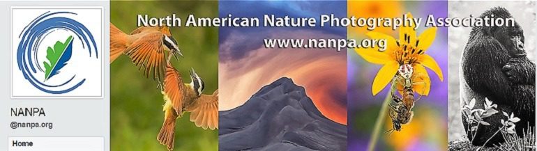 Image: A photo collage on the Facebook page of North American Nature Photography Association Group