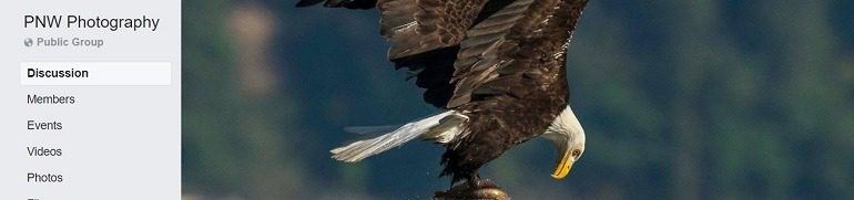 Image: Photograph of an American Eagle in flight on the banner of PNW Photography Group, one of the Facebook Photography Groups that provide Photography tutorials and photography tips for aspiring and amateur photographers