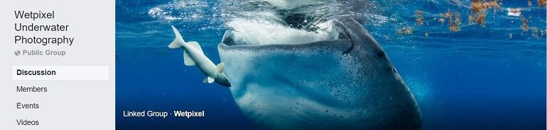 Image: Photograph of a whale on the banner of the Wetpixel Underwater Photography Group, one of the Facebook Photography Groups that provide Photography tutorials and photography tips for aspiring and amateur photographers