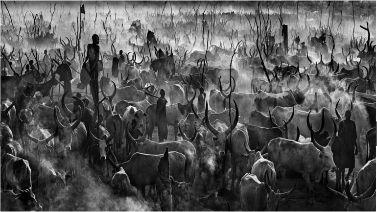 Image: Mankind, a black and white photography of the Maasai tending to their cattle by Scottish fine art photographer David Yarrow sold for over $80,000 during Sotheby’s photography auction in 2017