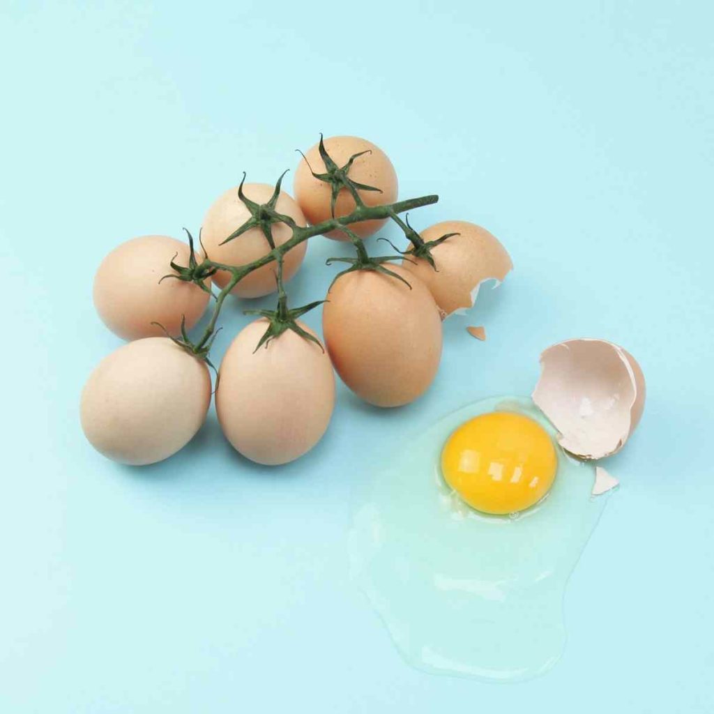 Household Surrealism Style: Helga Stentzel's The-Real-Egg-Plant shows one of her playful creations 