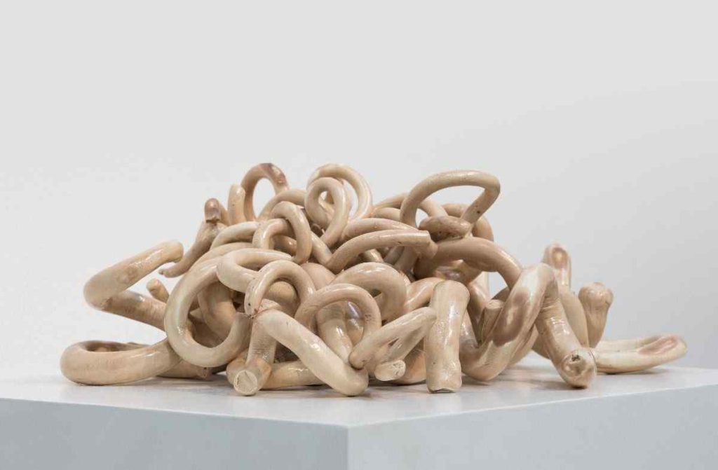 Afra Al Dhaheri, Indomie curls, one of the works with which art galleries lure collectors