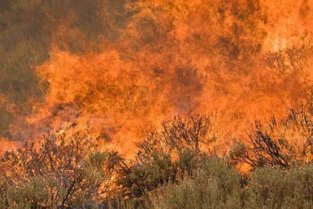 Castle Rock wildfire Destruction-photograph-photograph