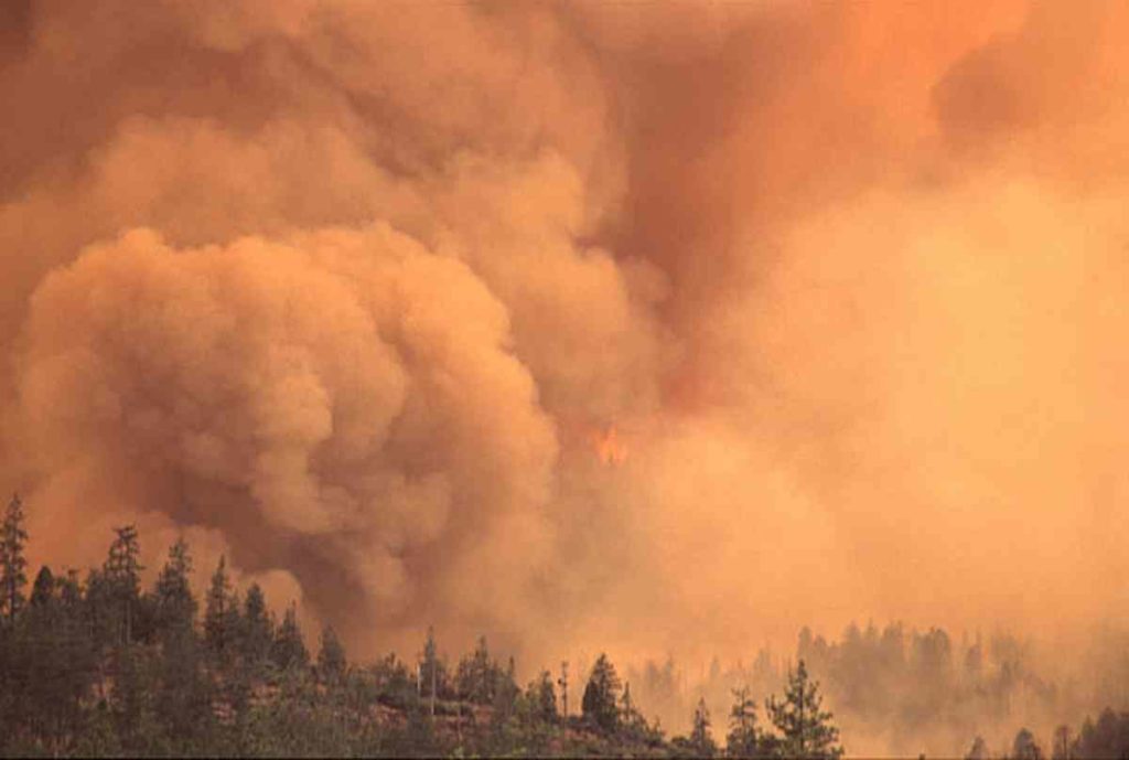 Smoke and Wildfire in the Pacific Northwest