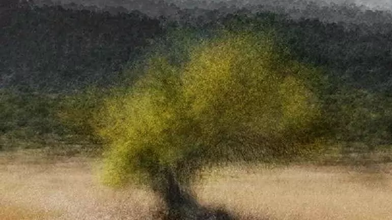 The Beauty of Nature in Art: A Timeless Muse for Creative Expression