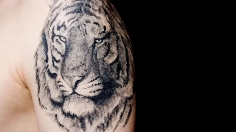 Top Animal Tattoos To Consider Getting and Why