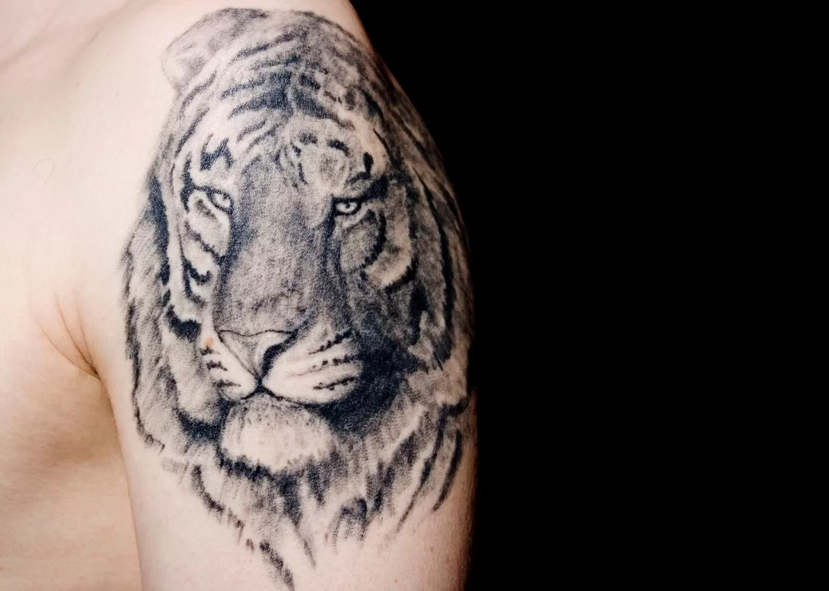 Top Animal Tattoos To Consider Getting and Why