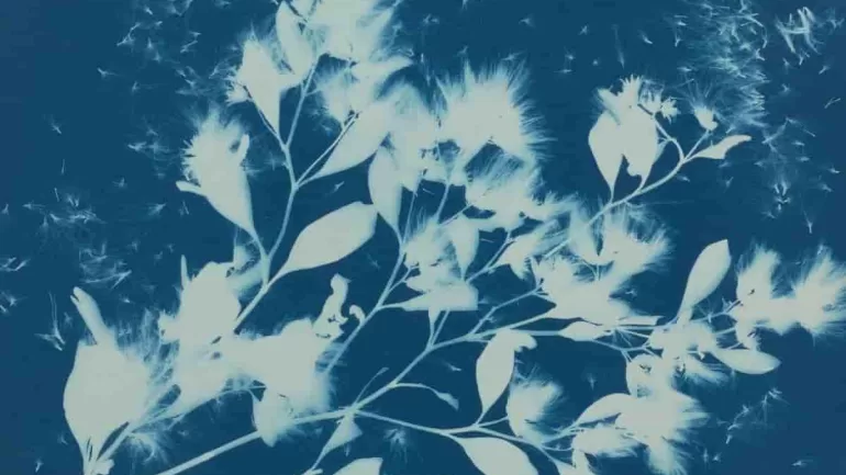 Winter 2025–2026 Museum Exhibitions: The Ultimate Global Art Guide