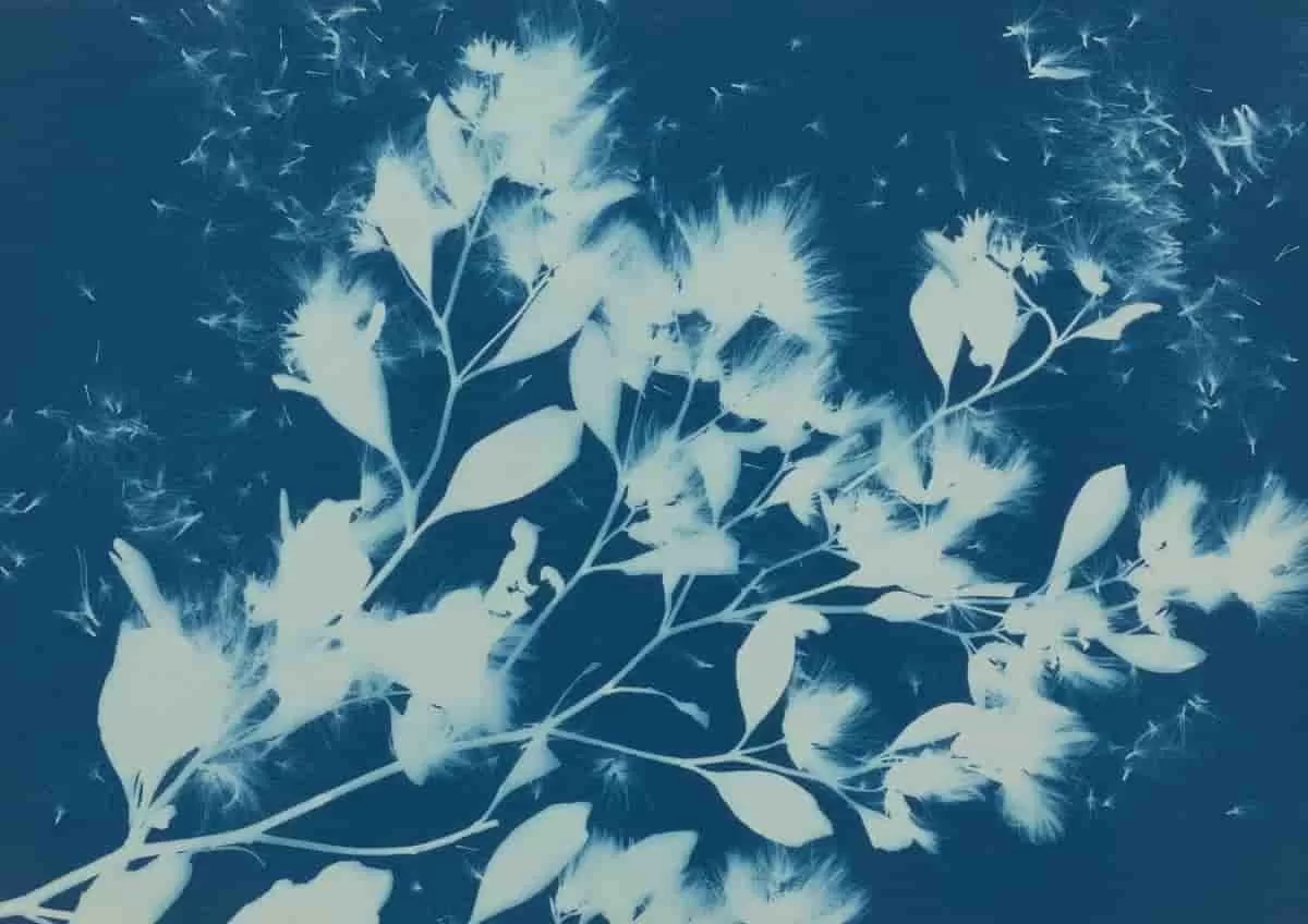 Air engaging The Four Elements Etching. Work from the Winter 2025–2026 museum exhibitions at the BMA you must see.