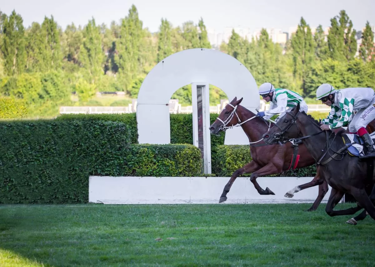 Two jockeys lean forward as they near the finish line of a horse race. The brown horse leads the black horse by a small margin. As a horse show photographer, capturing such details are important.