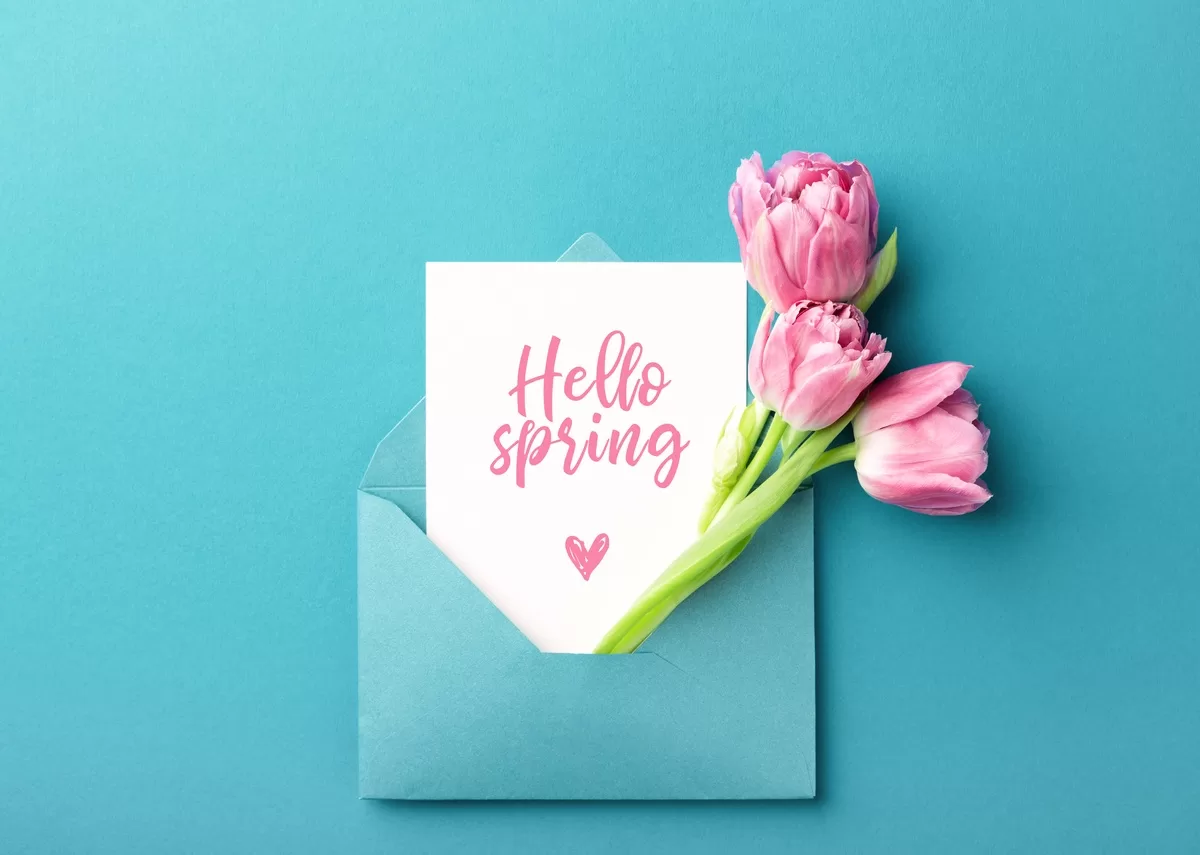 A greeting card reading "hello spring" in pink script font in a turquoise envelope with three pink tulips.