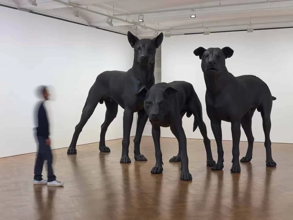 Ron Mueck En Garde, 2023, features three ferocious looking black dogs