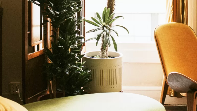 Mid-Century Modern Design Flourishes for Any Home