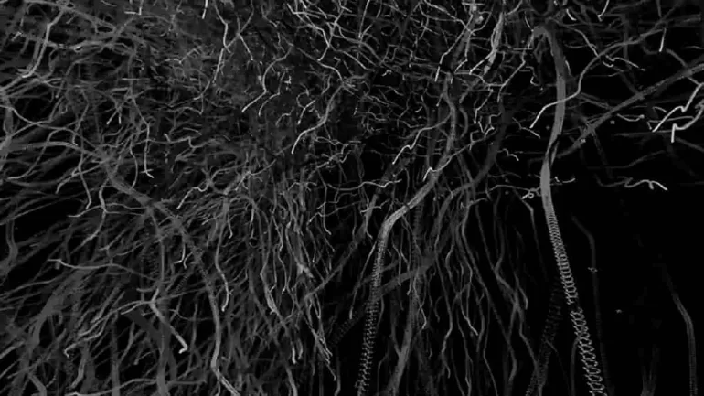 Creative Coding Takes Center Stage in ‘Code as Canvas’ Exhibition