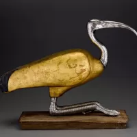This beautiful Ibis Coffin Thoth from 305–30 B.C.E is one of the animal mummies in ancient Egypt in Soulful Creatures