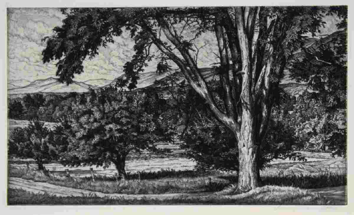 High Museum paper trees artwork, Beyond the Elm, an etching on paper by American artist Luigi Lucioni, featuring trees and a landscape